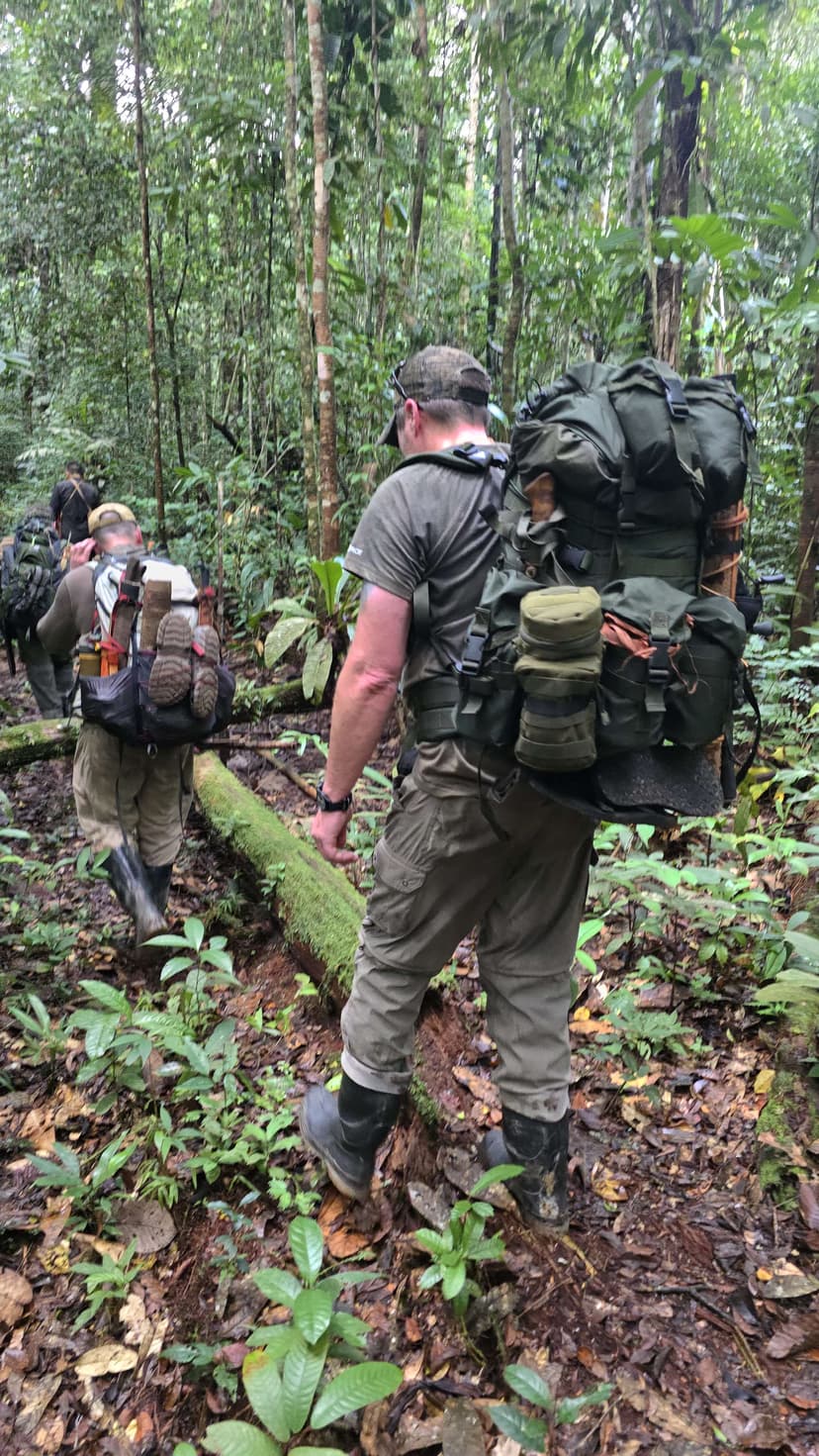 Deep Jungle Adventure