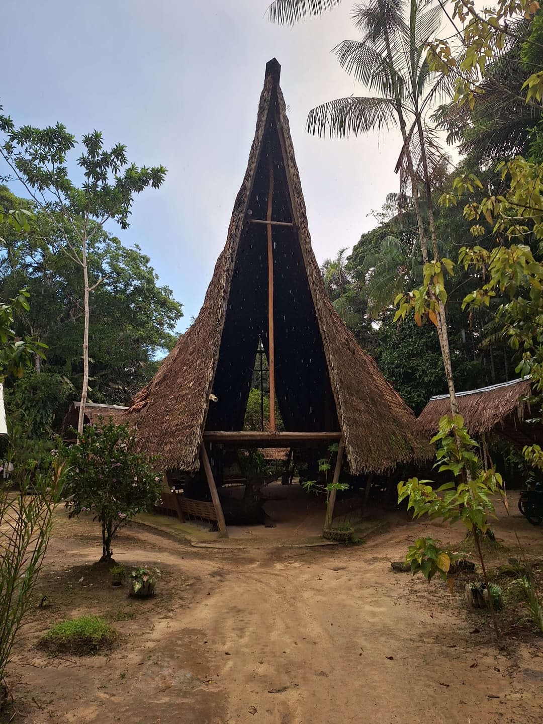Travelers exploring the Amazon rainforest at Tanimboca